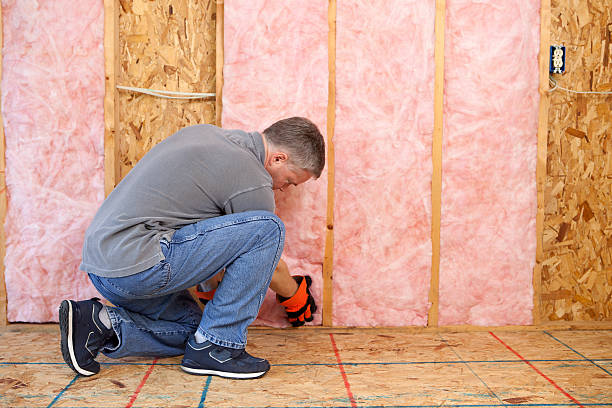 Best Spray Foam Insulation  in Heath, TX